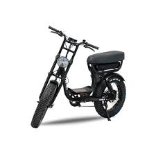 la souris elektrische scooter